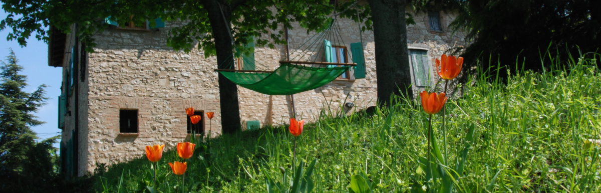 Boschi di Ciano